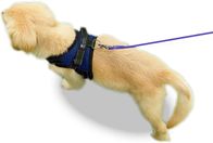 No Pull Reflective Air Mesh 22 Inches Nylon Dog Harness