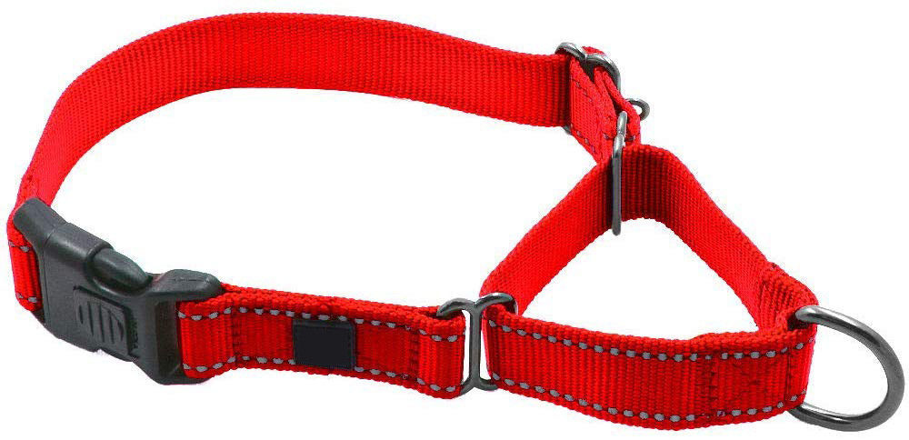 Wear Resisting Nylon Buckle Dog Collars Highly Reflective Durable Skin Friendly